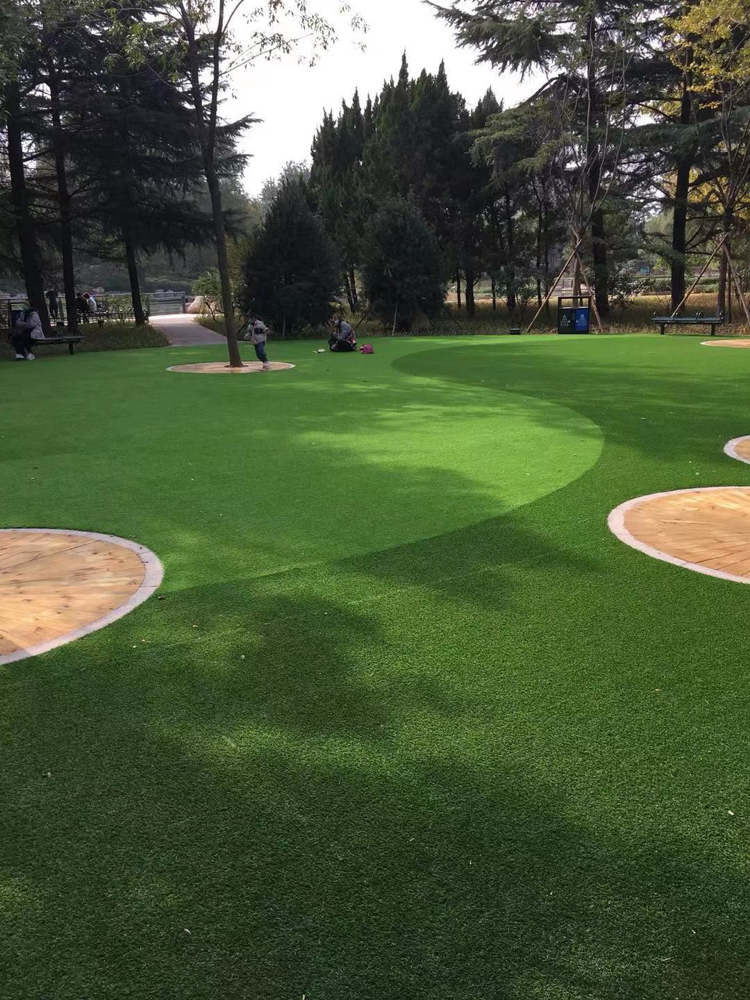 landscaping grass