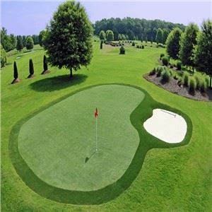 Gazon sintetic sintetic pentru golf